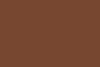 Spot Brown 167C