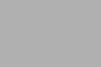 Spot Gray 421C