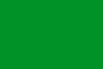 PU-07 GREEN