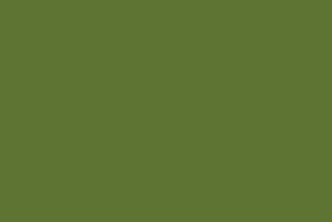 PU-23 OLIVE